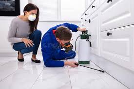 Indoor Pest Control in Coopersville, MI